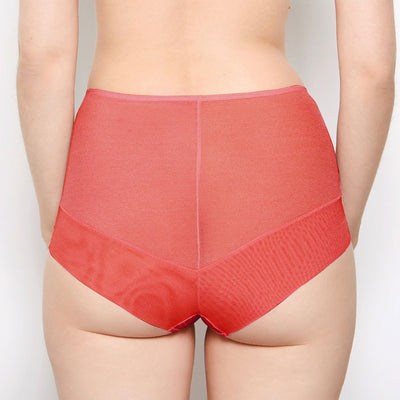 Sophia red lace high waisted knickers back view